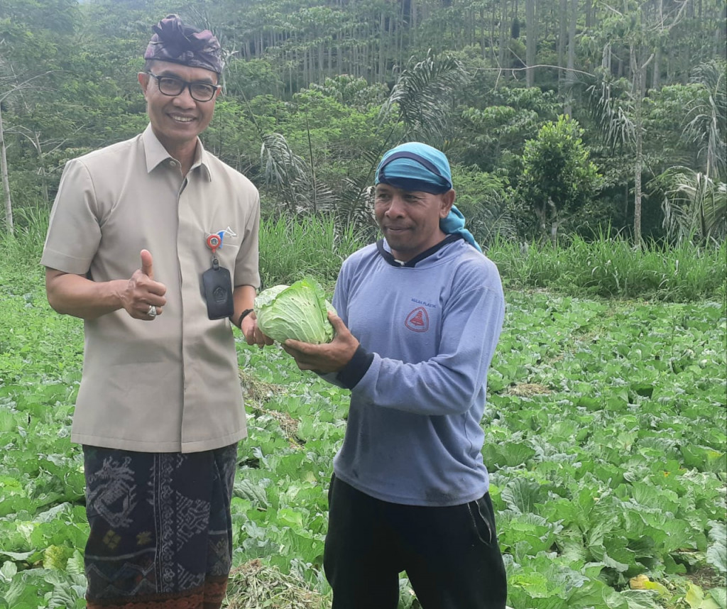 KADIS DINAS PERTANIAN DAN PANGAN KABUPATEN BADUNG MELAKUKAN MONITORING PRODUKSI JELANG IDUL FITRI