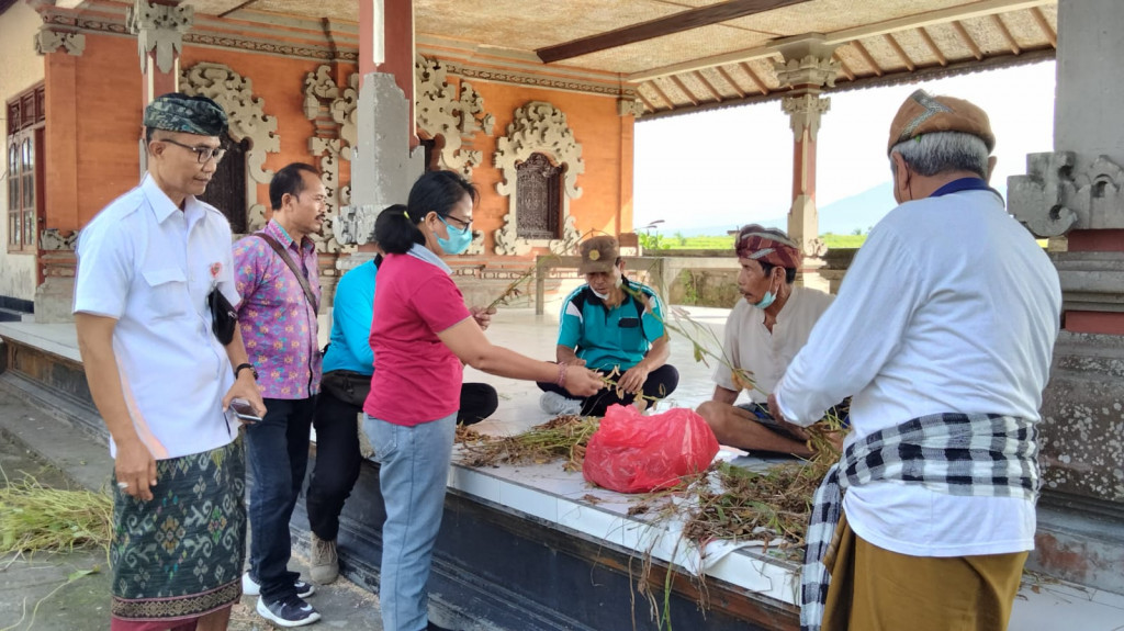 SERAP PRODUKSI KEDELAI PETANI, DINAS PERTANIAN DAN PANGAN KABUPATEN BADUNG GANDENG PENGUSAHA TAHU