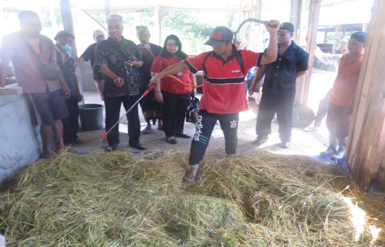 Bimtek Pengolahan Pakan Berbasis Limbah Pertanian dan Perkebunan di Kecamatan Petang