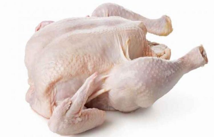 Cara Memilih Daging Ayam Potong Yang Segar Dan Sehat