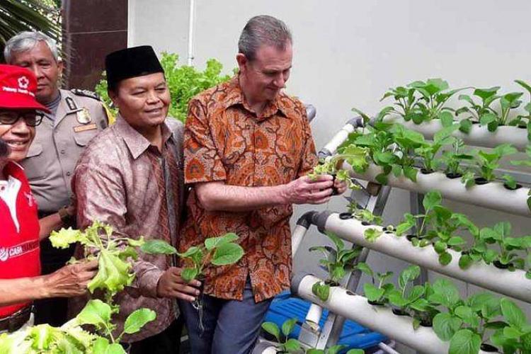 Didorong, Keberadaan Kampung Hidroponik di Seluruh Daerah