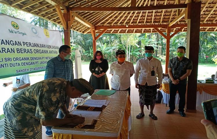 Ka. Diperpa Badung Didampingi Jajaran Bidang TPH Hadiri Penandatanganan Perjanjian Kerjasama Pemasaran Beras Organik antara PT. Bali Sri Organik dengan PT. Meta Inti Duta dan PT. Jagat Raya Semestha di Sangeh, Abiansemal