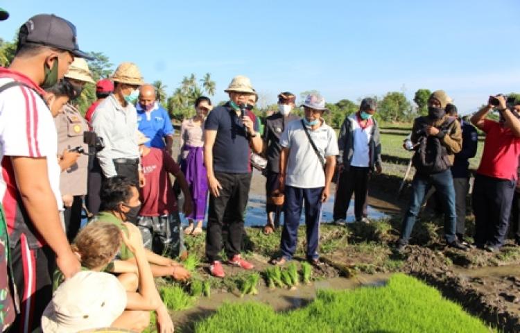 Wabup Kunjungan Kerja ke 4 Lokasi dan Lakukan Temu Wicara Dengan PPL seKabupaten Badung di BPP Abiansemal