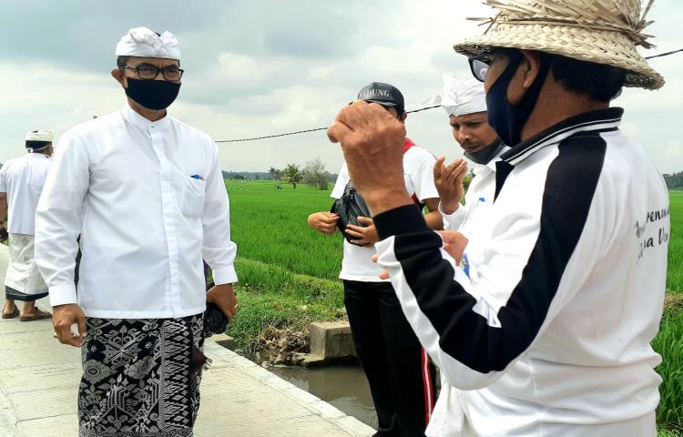 Ka. Diperpa Bersama Sekretaris, Kabid PSP, Ka. BPP dan Penyuluh Tinjau JUT, Tanaman Cabe di Subak Blahkiuh dan Bali Sri Organik Sangeh Abiansemal