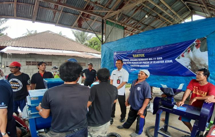 Ka. Diperpa Meninjau Pelatihan Pakan Ternak Organik di Banjar Tabah, Desa Taman, Kecamatan Abiansemal