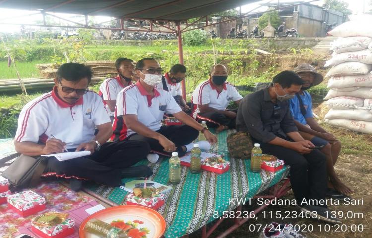 Kabid Bersama Tim Panluh Lakukan Pembinaan Pekarangan Pangan Lestari (P2L) di KWT Sedana Amerta Sari, Angantaka, Abiansemal