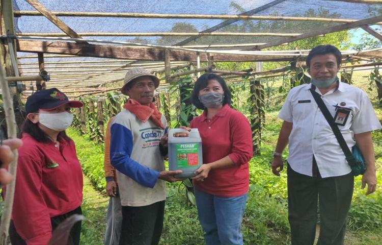 Kabid Bersama Tim Perkebunan Dampingi UPTD Lab. Perlindungan Tanaman Perkebunan Provinsi Bali Serahkan Stimulus Pestisida Hayati Kepada Petani Vanili di Tiyingan, Petang