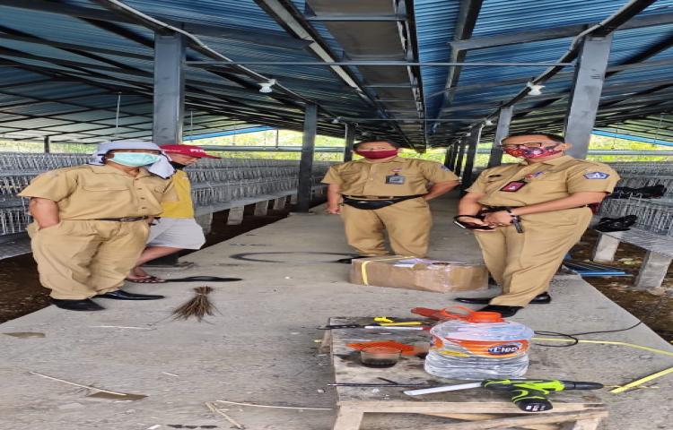 Kabid Prodnak Bersama Tim Bidang Keswan Meninjau Kandang Ayam Petelur di Banjar Sekar Mukti, Desa Belok Sidan, Petang