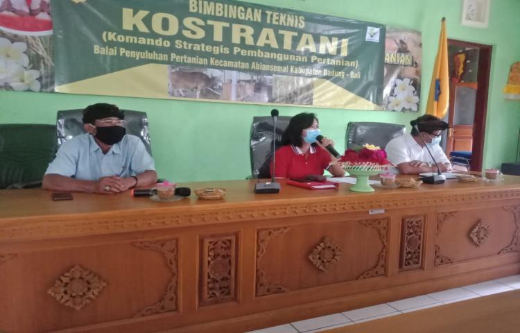 Kabid dan Jajaran Perkebunan Lakukan Sosialisasi dan Pembinaan Penerima Bantuan Kelapa Genjah Kepada Kelompak Tani di Kabupaten Badung