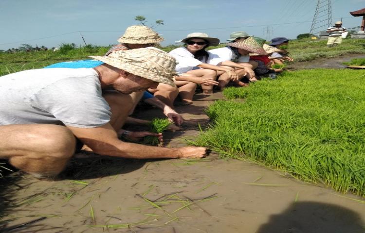 Kegiatan KKC (Kulkul Koneksian Club) di Subak Uma Lambing