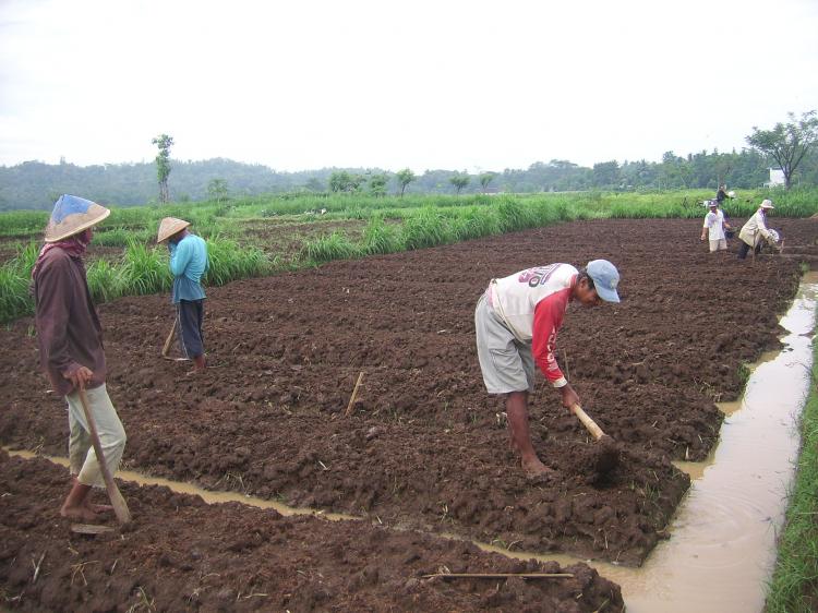 Kelola dan Manfaatkan Sampah untuk Dijadikan Kompos !