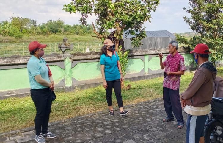 Koordinasi Rencana Penyerahan Bantuan Benih Padi Inbrida APBN, Bidang TPH, Pekaseh dan PPL di Subak Ayung Mengwi