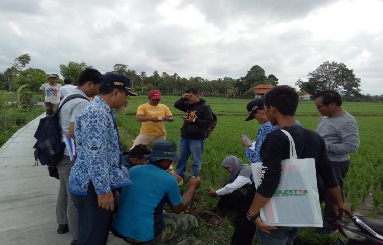 Kunjungan Verifikasi BPK di Subak Blahkiuh dan Kelompok Ternak Ayam Jaya Mandiri Perkasa Kecamatan Abiansemal