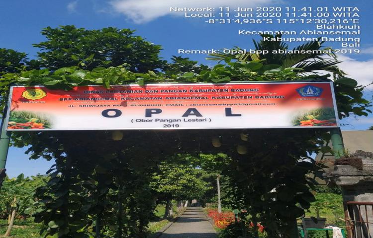 Obor Pangan Lestari (OPAL) BPP Kecamatan Abiansemal Nan Asri sebagai Tempat Studi Lapangan