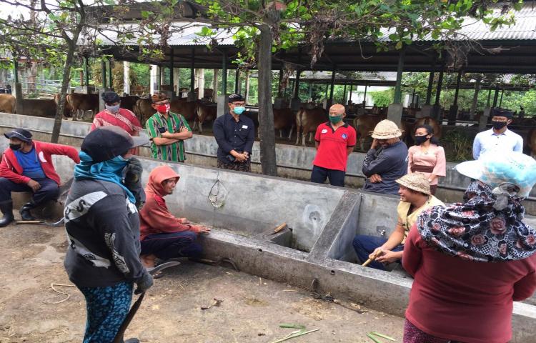 Pastikan Kesehatan Para Pekerja Ka. Diperpa Didampingi Kabid Prodnak Lakukan Monev. dan Sosialisasi Pencegahan Covid 19 di Sentra Ternak Sobangan, Mengwi