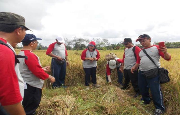 Pelatihan Petugas Survei Ubinan Tanaman Pangan Tahun 2018