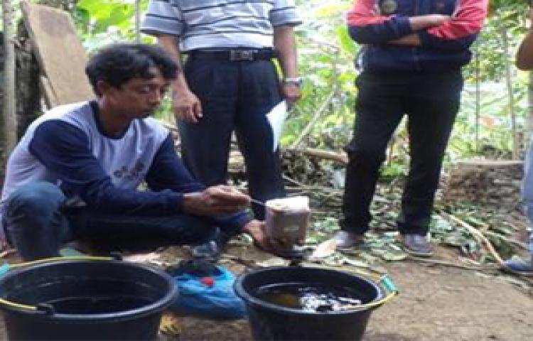 Pembuatan Bio Urine dari Urine Kambing