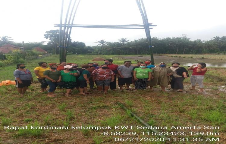 Penyuluh Pertanian Lapangan (PPL) Selalu Ada diantara Kelompok Wanita Tani (KWT) Sedana Amerta Sari Abiansemal