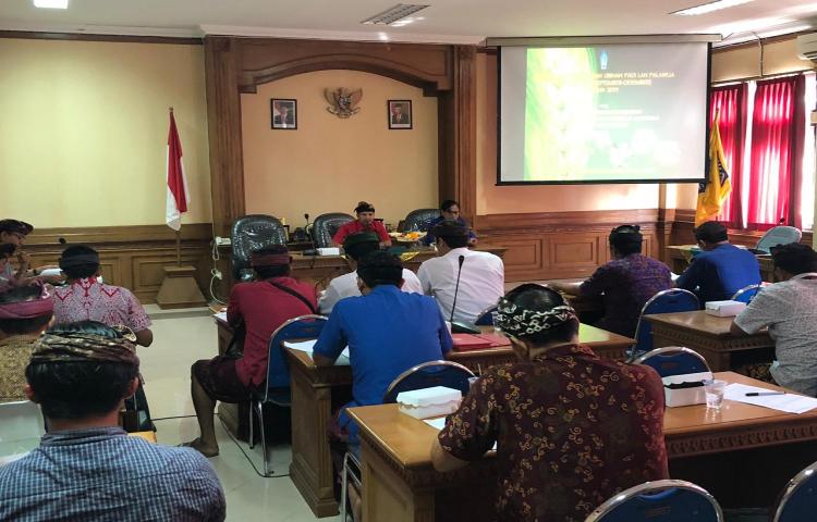 Provitas padi di Kabupaten Badung musim tanam/Sub Round III Tahun 2019 meningkat 9,87 kw/ha dari Tahun 2018