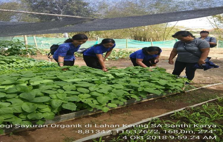 Temu Lapang di Subak Abian Santhi Karya Desa Pecatu Kecamatan Kuta Selatan