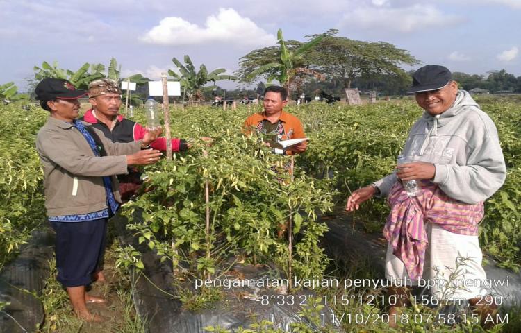 Upaya dan soliditas Penyuluh Pertanian Lapangan WilBin Mengwi