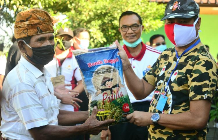 Wabup Serahkan Bantuan Benih Padi Inbrida, Sayur Mayur, Penghijauan dan Benih Ikan Kepada Petani Badung